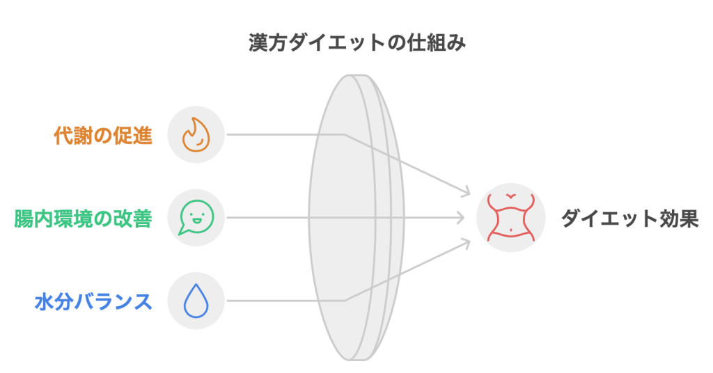 漢方ダイエットの仕組み