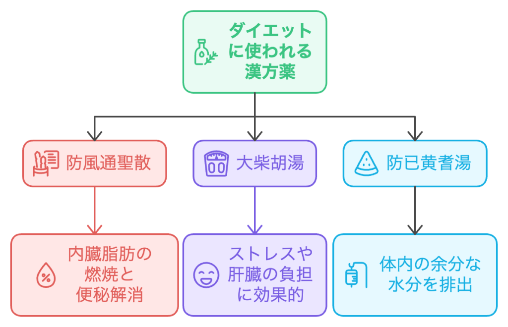 ダイエット漢方薬の使い分け