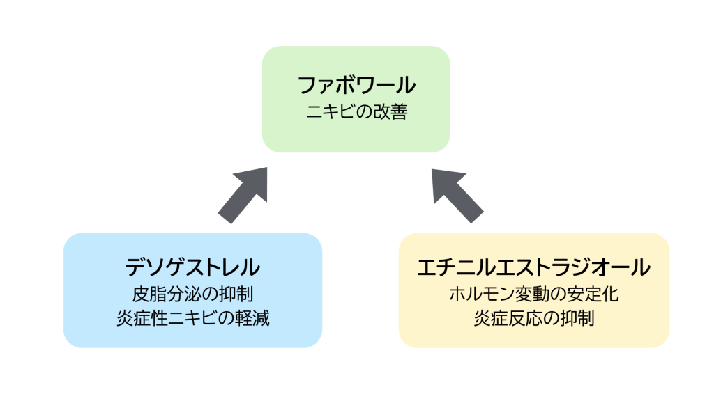 ファボワールの有効成分はデソゲストレルとエチニルエストラジオール