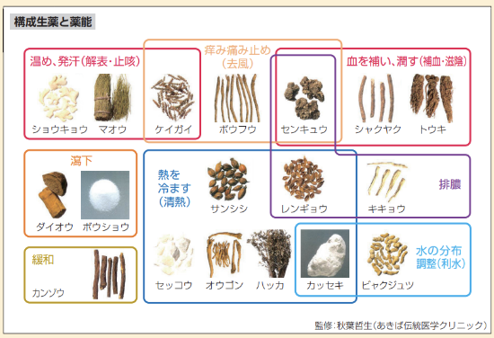 構成生薬と薬能
