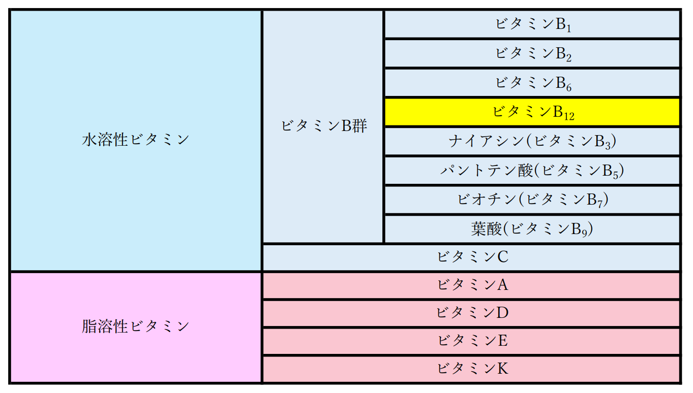 ビタミンB12はビタミンB群のひとつ